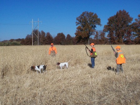 youth pheasant hunt